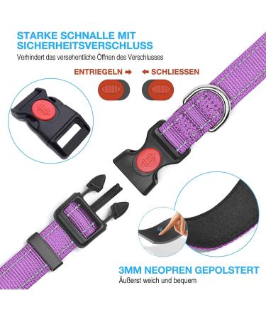 Shop Haapaw Reflective Dog Collar - Padded Neoprene & Breathable Nylon for Small Medium & Large Dogs - Purple (M 1 Pack) | International Shipping Available - Buy Online on SooperMarket.com