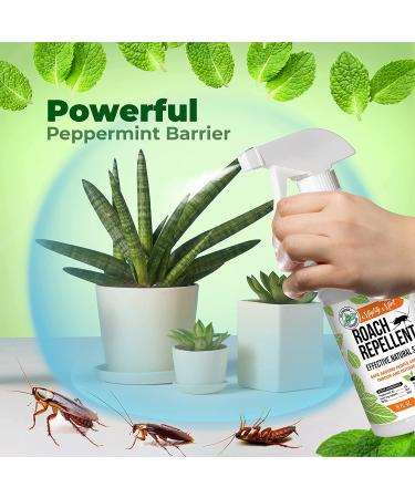 Mighty Mint 16oz Natural Peppermint Oil Spray - Cockroach Repellent - Buy Online on SooperMarket.com