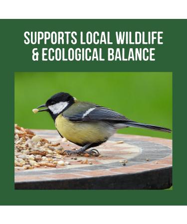 Honeyfields 5Kg Wild Bird Food - High Quality Blend for All Seasons - Buy Online on SooperMarket.com