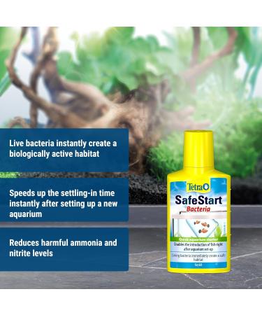 Tetra SafeStart Aquarium Starter - with live nitrifying bacteria allows the rapid introduction of fish in an aquarium 50 ml bottle. 50 ml (Pack of 1) Single - Buy Online on SooperMarket.com