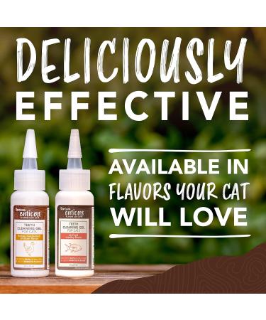 TropiClean Enticers Teeth Cleaning Gel for Cats - Honey Marinated Chicken Flavor 2oz - Dental Gel - Helps Remove The Source of Bad Breath and Plaque- Flavor Cats Love - No Brushing Honey Marinated Chicken 59 g (Pack of 1) Cats - Buy Online on SooperMarket.com