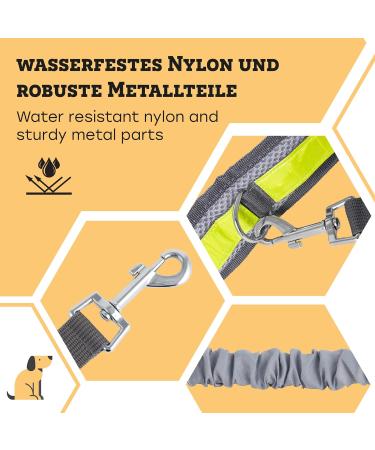 Vitazoo Jogging Line for Dogs | Elastic Running Leash with Adjustable Belt & Reflective Sections | Best Dog Jogging Leash with Belt Bag - Buy Online on SooperMarket.com