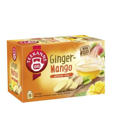 Teekanne World of Ginger and Mango Herbal Infusion Tea with Fennel Rooibos and Black Pepper 20 Teabags