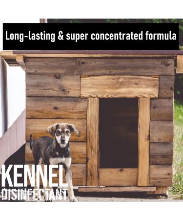 ULTIMA-PLUS XP Kennel Kleen 5L - Disinfectant Cleaner & Sanitiser with Bubblegum Fragrance - Concentrated for Kennels, Catteries & Hatches - Buy Online on SooperMarket.com