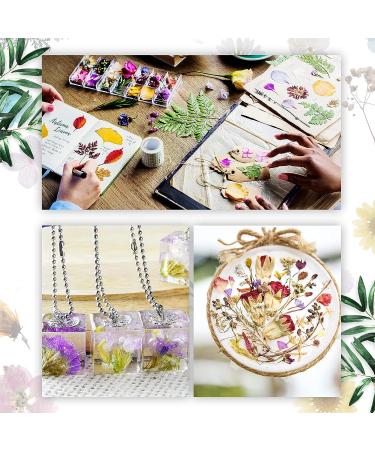 Pressed Dried Flowers Kit with Tweezers - Colorful Real Dried Flowers for Resin Jewelry DIY - Buy Online on SooperMarket.com