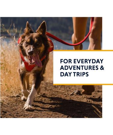 Luffwear Dog Dishes with Built-In Bags | All-Day Comfort for Small Breeds | Red Sumac | Ideal for Short Trips & Everyday Use - Buy Online on SooperMarket.com