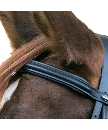 Buy Star Waldhausen Bridle Hannover Black Pony Premium Quality Equestrian Gear for International Shipping - Buy Online on SooperMarket.com