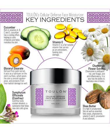 Antioxidant Moisturizer with Vitamin A C E - Reduces Wrinkles, Fights Free Radicals - 2 oz - Buy Online on SooperMarket.com