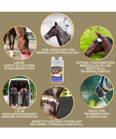 Emma Electrolyte Horse Liquid & Paste | Vitamin B12 Minerals & Sodium for Optimal Hydration | 1L & 30ml - Prevent Diarrhea & Support Performance - Buy Online on SooperMarket.com