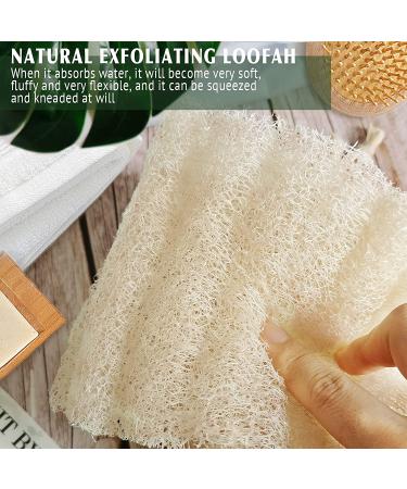 Natural Shower Loofah Sponge - Bath Exfoliating Body Scrubber - Soft & Easy Foaming Spa Lufa Sponges (2 Pack) - Buy Online on SooperMarket.com