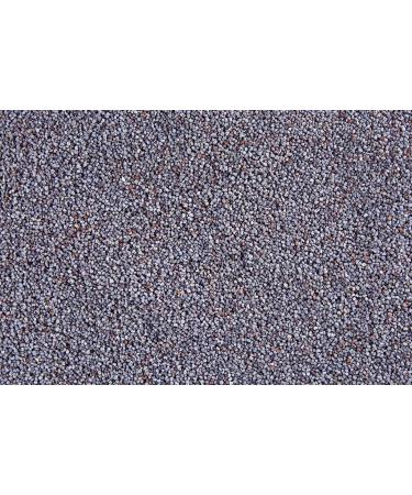 Wholefood Earth - Unwashed Poppy Seeds 1 kg (Pack of 2) Nutty 1kg (Pack of 2) - Buy Online on SooperMarket.com