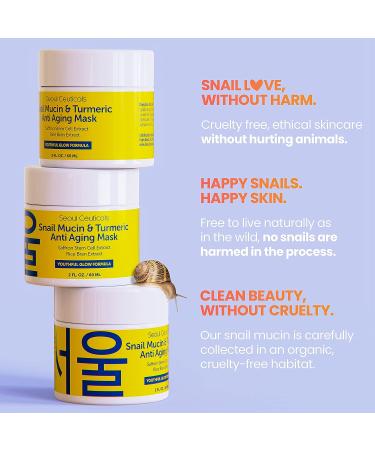 Korean Snail Mucin & Turmeric Face Mask | Anti-Aging K Beauty with Saffron & Rice Bran | Hydrating 2oz Mask - Buy Online on SooperMarket.com