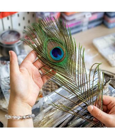 20 Pcs Real Natural Peacock Feathers Bulk Set - Multicolored DIY Craft & Wedding Decoration - Buy Online on SooperMarket.com