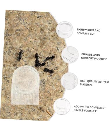 VILLCASE 4 Pcs Ant Water Feeder Mini Water Dispenser Ant Drinking Tools Ant Water Drinking Bowl Pet Ant Nest 4x4cmx2pcs Transparent Colorx2pcs - Buy Online on SooperMarket.com