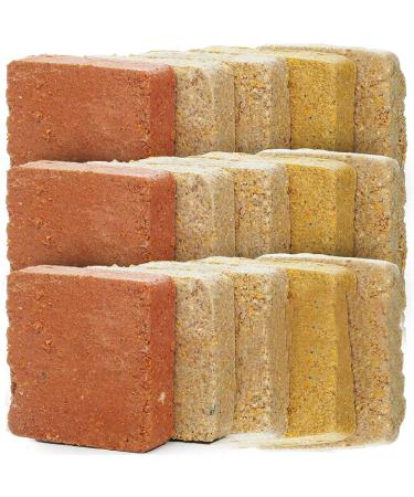 SQUAWK Suet Fat Blocks | Premium Grade Garden Wild Bird Food | Enhanced Formula | Naturally Blended High in Energy & Protein-Rich Feed | Full of Nutritious Fat Fibre & Moisture (Bug & Berry 5) Bug & Berry 5 count (Pack of 1)
