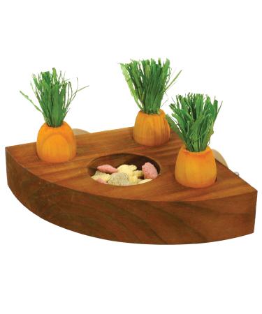 Rosewood 19260 Boredom Breaker Carrot Toy 'n' Treat Holder for Small Animals transparent Single