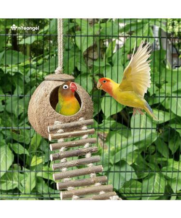Niteangel Natural Bird Nests Coconut Hideaway with Ladder Bird and Small Animal Toy (House with Ladder Natural Surface) House with Ladder Natural Surface - Buy Online on SooperMarket.com