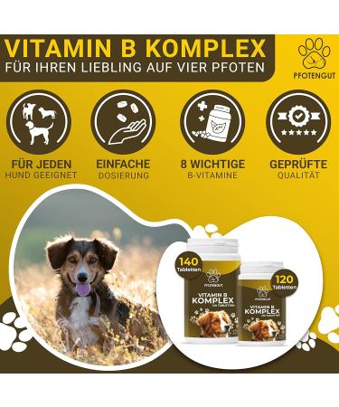 Pfotengut Vitamin B Complex for Dogs & Cats - 120 Tablets Made in Germany High-Dose B Vitamins for Optimal Health - Supports Energy & Vitality - Buy Online on SooperMarket.com