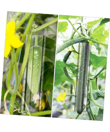 GANAZONO Cucumber Molds 4 Pcs Cucumber Fruit Shape Mold Fruit Shaping Mold Vegetable Mold Combination Modeling Accessories - Buy Online on SooperMarket.com