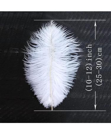 Natural White Ostrich Feathers 10-12inch - Pack of 12 for Wedding & Party Centerpieces - Easter Carnival Decor & Flower Arrangement - Home Decorations - White Feathers - Buy Online on SooperMarket.com
