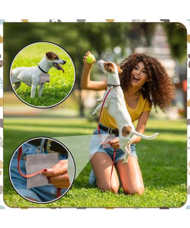 Jostift 2-Piece Dog Training Treats Bag - Portable Hands-Free Dispenser with Carabiner | Ideal for Training & Walks (Brown & Gray) - Buy Online on SooperMarket.com