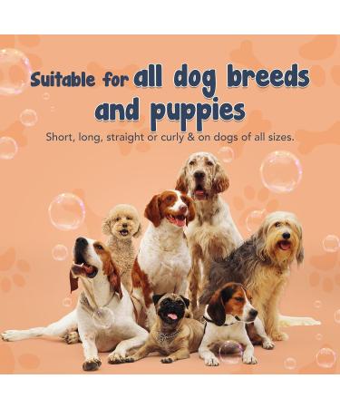 Shampoodle Sweet Orange & Tea Tree Dog Shampoo & Conditioner 500ml - Flea & Tick Repellent - pH Balanced Vegan Formula with Aloe Vera & Vitamin E - Buy Online on SooperMarket.com