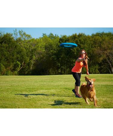Chuckit! Rugged Flyer Dog Toy - Durable Frisbee for Throw, Fetch, and Tug of War - Buy Online on SooperMarket.com