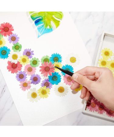 84 Pieces Real Dried Pressed Flowers - Natural Daisy Variety for DIY Crafts & Decorations - 7 Colors - Resin Casting, Jewelry, Candle, Soap Making Supplies - Buy Online on SooperMarket.com
