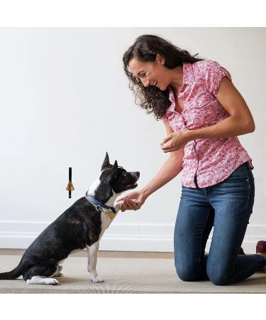 Shop Owner Dog Training Bell | Metal Wall-Mounted Door Bell - SliverDeW - Buy Online on SooperMarket.com