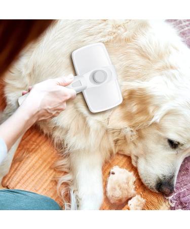 Crala Self Cleaning Slicker Brush- Pet Grooming Shedding Tool for Short & Long Haired Dogs & Cats- Removes Loose Undercoat, Mats & Tangles- White - Buy Online on SooperMarket.com