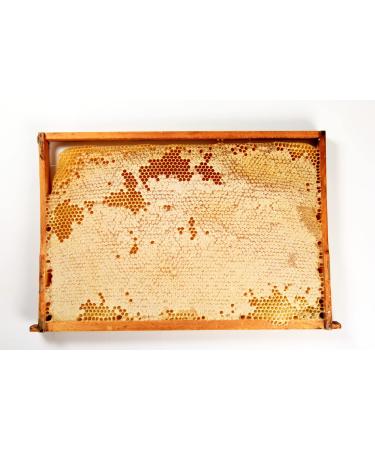 900g Raw Honeycomb Of WildFlowers Pure Raw Honey Unprocessed Limited Quantity - Wood Frame (3 x 300g)