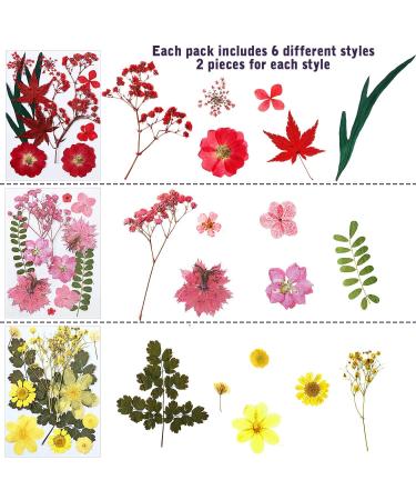 EBOOT 72 Pieces Real Dried Pressed Flowers Set for DIY Crafts & Floral Decor - Mixed Dry Flowers for Candle, Resin, Jewelry & Nail Art - Buy Online on SooperMarket.com