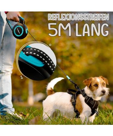 FIRSTPAW 5m Extendable Dog Leash for Small & Medium Dogs (Up to 20kg) - Ergonomic Handle Reflective Stripes Stop Button - Blue - Buy Online on SooperMarket.com