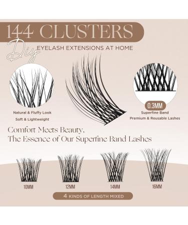 Lashview DIY Eyelash Extension Kit | 144pcs Cluster Lashes Glue Remover & Applicator | Volume Extensions for Perfect Look - Buy Online on SooperMarket.com