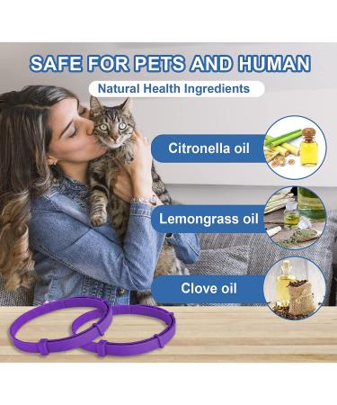 2 Pack Cat Flea Collar | 8 Months Protection | Repels Fleas & Ticks | Safe & Effective Prevention - Buy Online on SooperMarket.com
