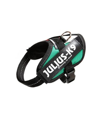 IDC Powerharness Size: 2XS/Baby 2 Italian Colors Italian Colors 2XS/Baby 2