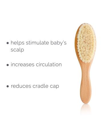 Natemia Wooden Baby Hair Brush - Soft Goat Bristles, Ideal for Newborns & Toddlers, Helps with Cradle Cap - Perfect Baby Registry Gift - Buy Online on SooperMarket.com
