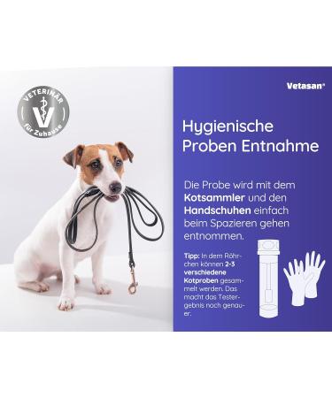 Vetasan 2x Giardia Quick Test for Dogs & Cats | Accurate & Fast Giardia Testing | 98.3% Accuracy - Buy Online on SooperMarket.com