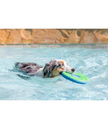 Chuckit! Zipflight Frisbee Dog Toy - Durable Fetch Toy for Dogs | Medium Size - Buy Online on SooperMarket.com