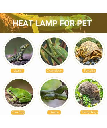 Caldarax 2 Pack Reptile Heating Bulb E27 Dimmable UVA UVB Bulb Tortoise 25W Turtle Basking Bulb for Reptiles and Amphibians Heat Lamp Bulb for Tortoise Bearded Dragon Lizard Snake - Buy Online on SooperMarket.com