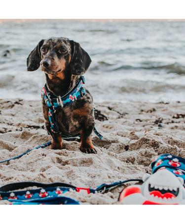 Max & Molly H-Harness - Frenzy The Shark | Best Pet Harness for International Shipping - Buy Online on SooperMarket.com