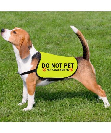 Do Not Pet No Hand Sniffs Dog Jacket Vest Nervous Anxious Dog Slogan Warning Vest (NO HAND SNIFFS Medium) NO HAND SNIFFS M EU - Buy Online on SooperMarket.com