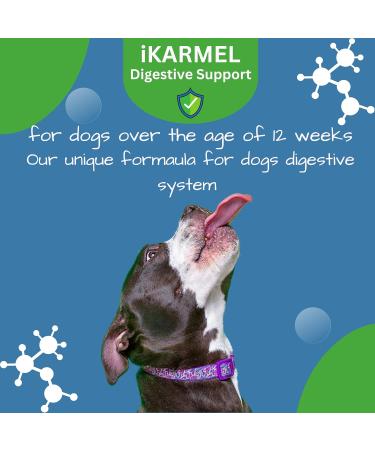 iKARMEL Doggy Dailies Probiotics for Dogs | Canine Supplements for Digestive and Immunity Support | Skin Health and Itch Relief | Vitamin Treats for Dogs | Probiotic (90 Chews) - Buy Online on SooperMarket.com