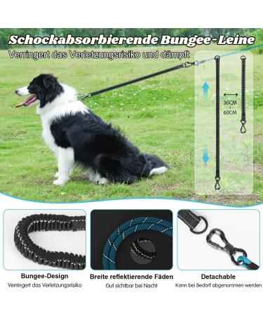 Buy Aystkniet 20m Reflective Bungee Leash for Large Dogs (Up to 80kg) - Padded Handle Lockable Hook - Durable Day & Night Walking Leash - Blue - Buy Online on SooperMarket.com