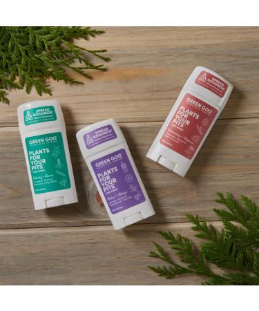Green Goo Herbal Deodorant for Men and Women | Immunity + Defense | Cedarwood, Siberian Fir, Reishi Mushrooms, Echinacea | 2.25 oz - Buy Online on SooperMarket.com
