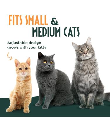 Adjustable Cat Harness and Lead Set - Escape Proof and Safe Design for Kittens - UK Universal Size Cat Leash - Buy Online on SooperMarket.com