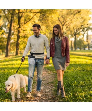 GOTRUST Treat Pouch for Dog Training Dog Treat Bags Small Pet Puppy Treat Pouch Bag Waterproof Dog Walking Pouches with Adjustable Waist Belt and Built-in Dog Waste Bag Dispenser Gray - Buy Online on SooperMarket.com