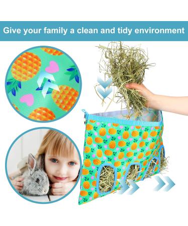 2 Pieces Rabbit Hay Bag Small Animals Hay Feeder Bag Hanging Feeding Storage Guinea Pig Hanging Feeder Sack with 4 Holes for Small Pets Rabbit Bunny Hamster Guinea Pig (Pineapple Strawberry) - Buy Online on SooperMarket.com