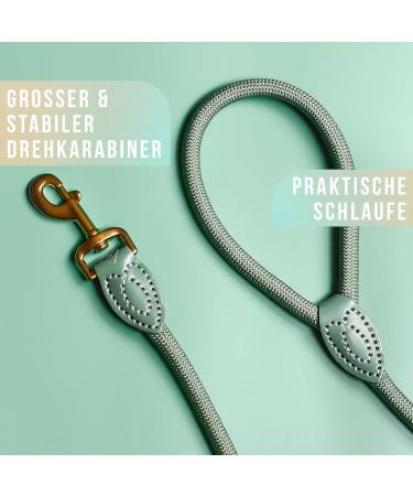 Premium 1.7m Dog Leash for Large Dogs - Durable Braided Training Rope | Sage Green - Buy Online on SooperMarket.com
