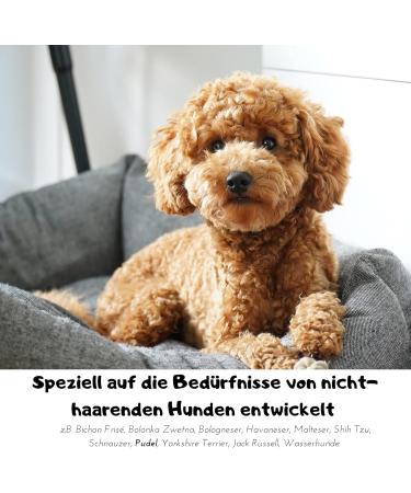 Moki B r Dog Shampoo with Argan Oil | Smooth Fur & Easy Combing | Made in Germany 250ml | International Shipping - Buy Online on SooperMarket.com